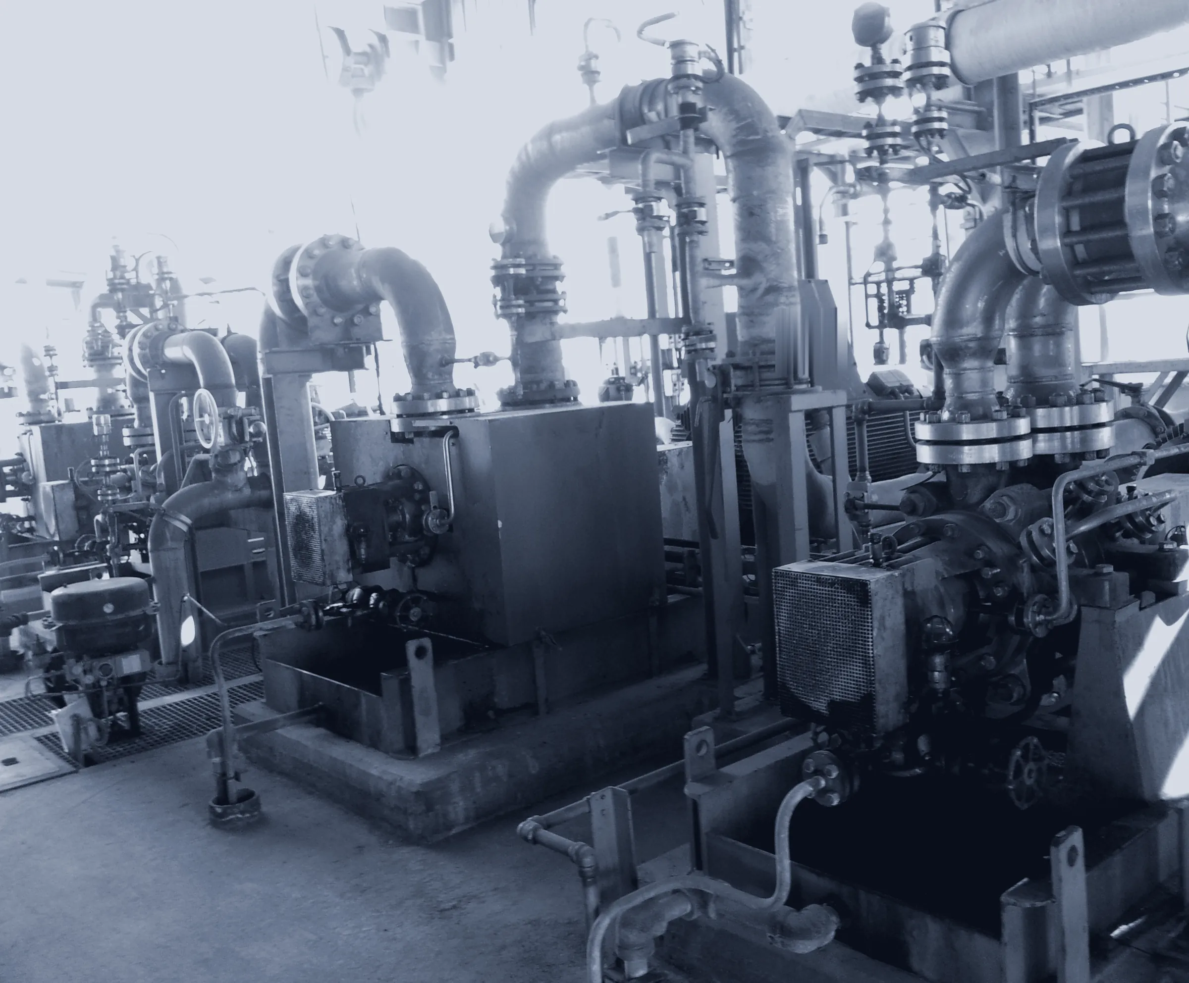 Process pumps in a petrochemical plant